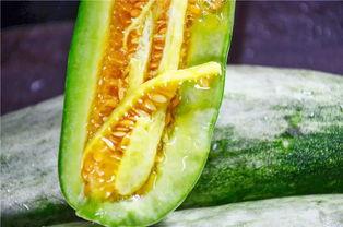 最会吃瓜的网红,网红吃瓜达人带你领略娱乐圈幕后风云  第3张