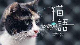 猫之城最新爆料视频大全,最新爆料视频大盘点 第2张 猫之城最新爆料视频大全,最新爆料视频大盘点 第2张