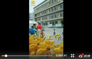 内蒙学校爆料视频曝光,揭秘校园内幕 第1张 内蒙学校爆料视频曝光,揭秘校园内幕 第1张